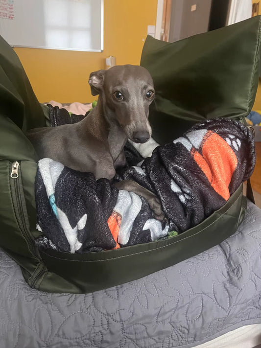 Waterproof Travel Nest for Pets